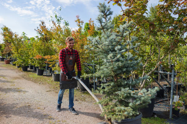 Best Tree Health Inspection  in Dadeville, AL